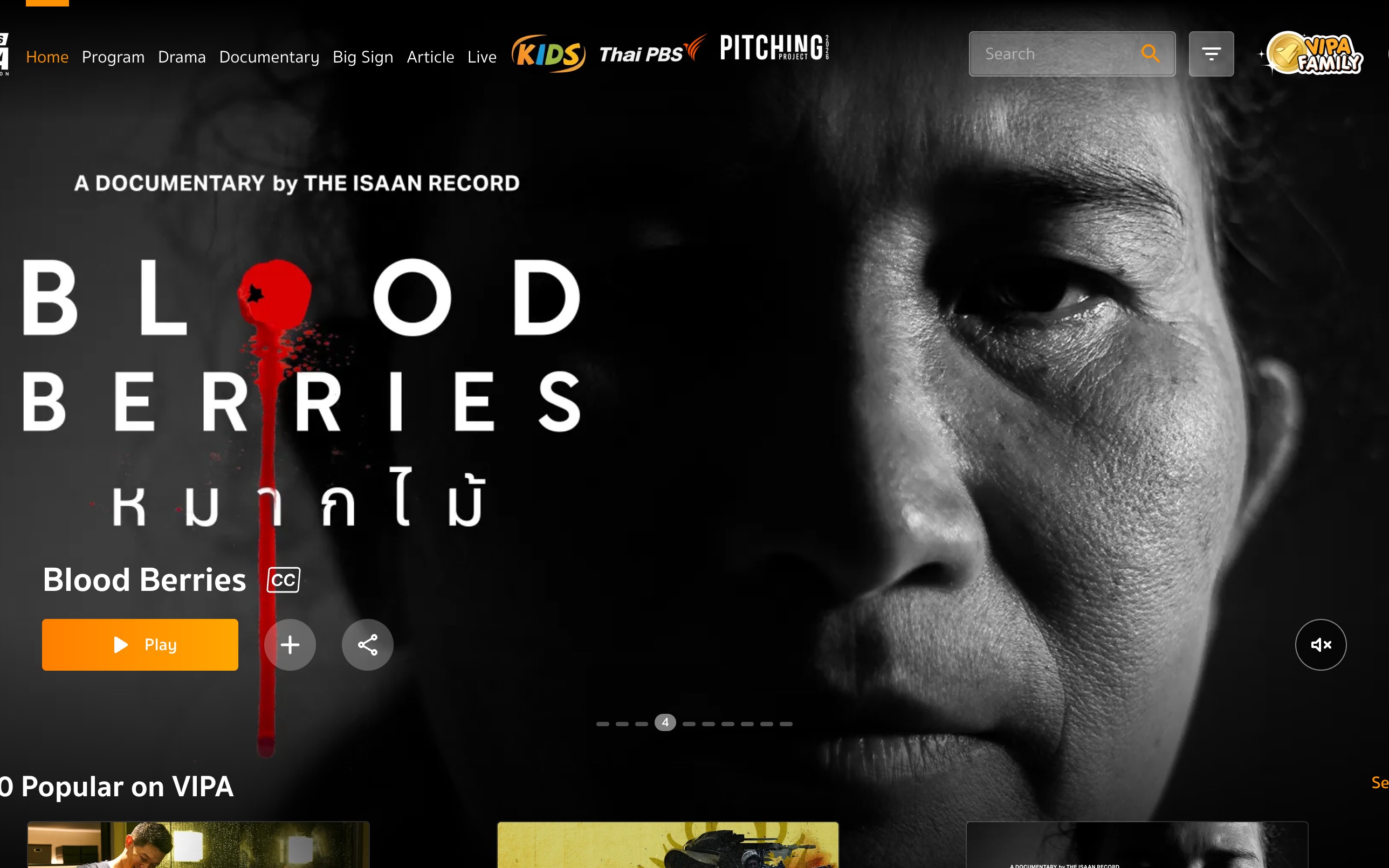 Thai PBS · VIPA