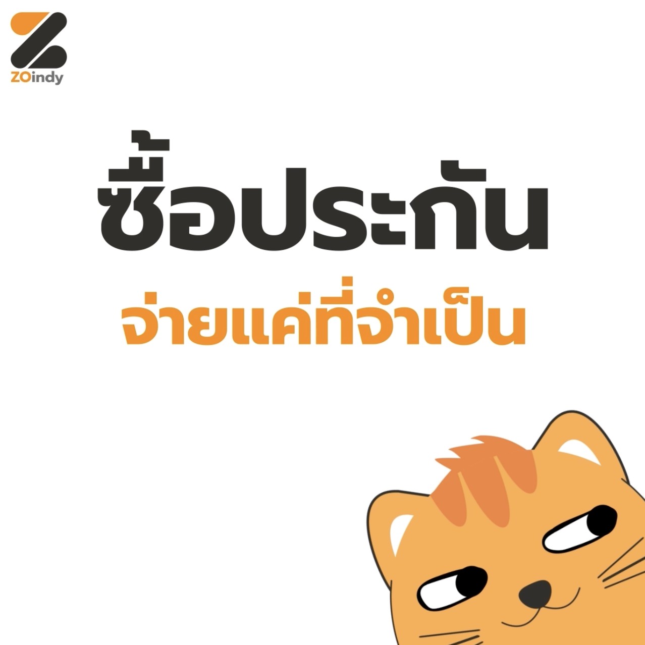 ZoIndy